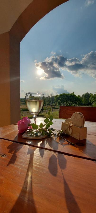 Holiday House And Apartments Vale 더가리사 외부 사진