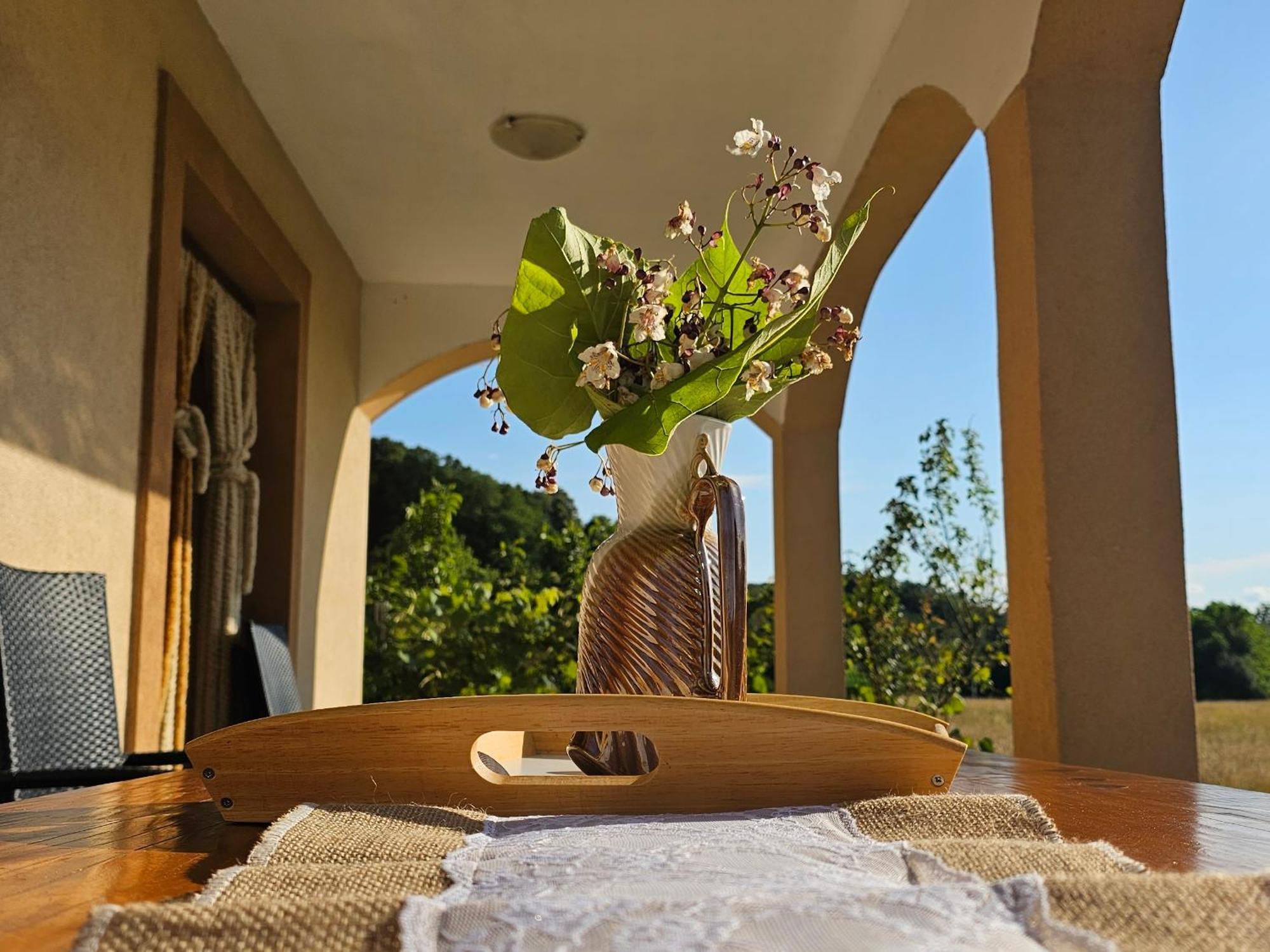 Holiday House And Apartments Vale 더가리사 외부 사진